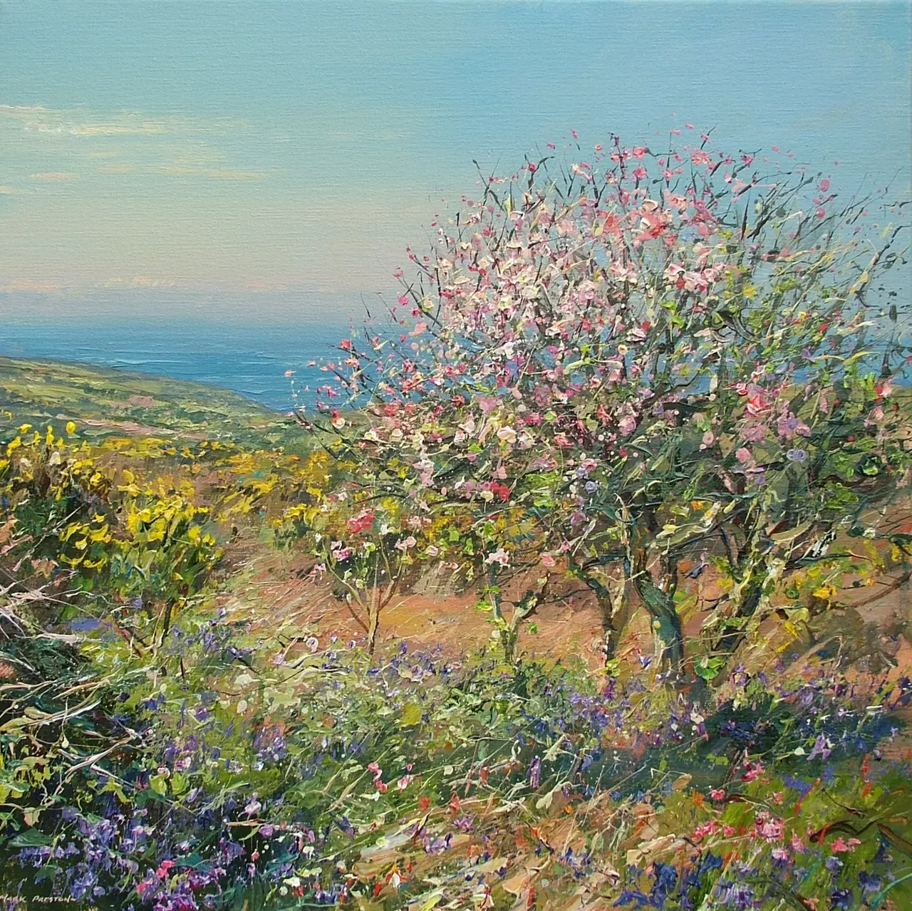 Mark Preston - crab apple blossom, near st ives